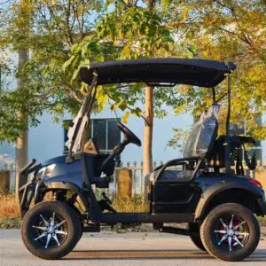 Electric Golf Carts