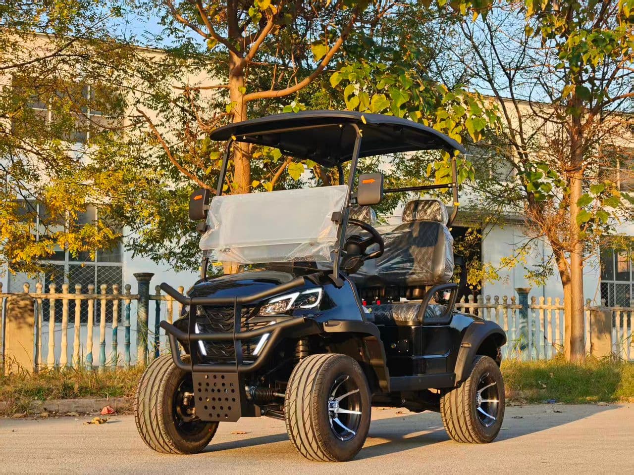 Electric Golf Carts - Image 2