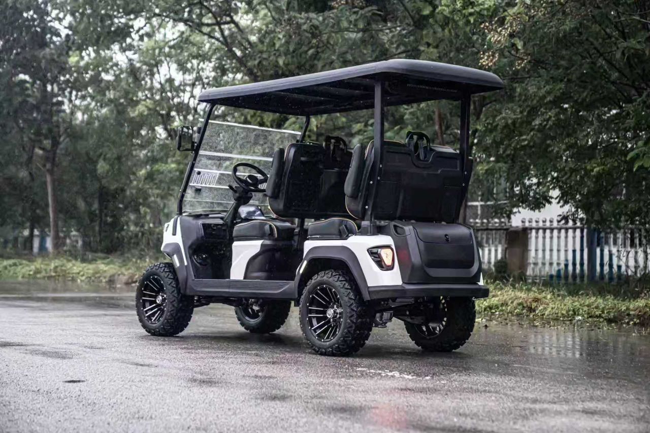 Electric Golf Carts - Image 12
