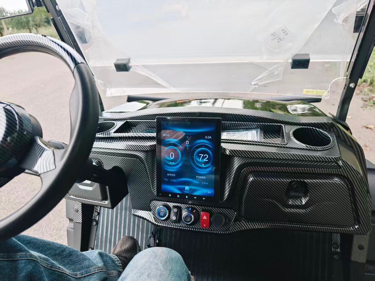 Electric Golf Carts - Image 11