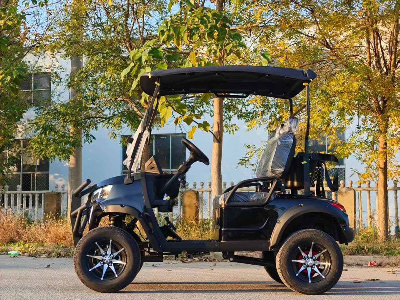 Electric Golf Carts