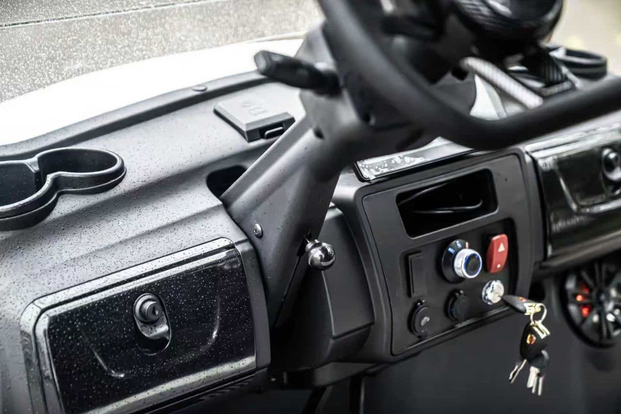 Electric Golf Carts - Image 6