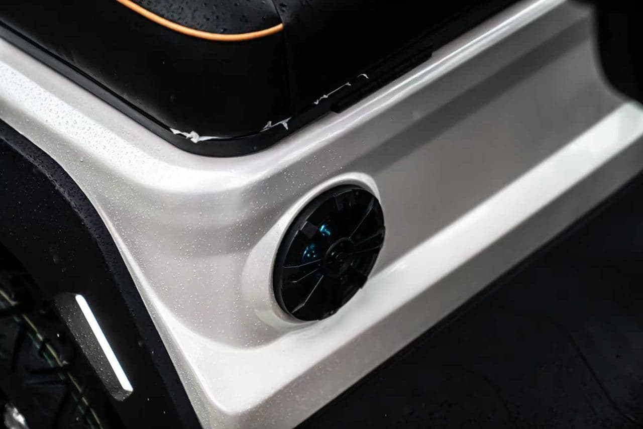 Electric Golf Carts - Image 8